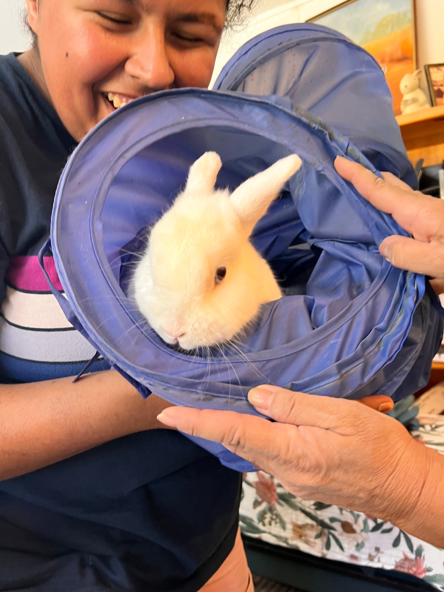 Happy laughing girl holding white rabbit caught in CatchMe bunny play tunnel