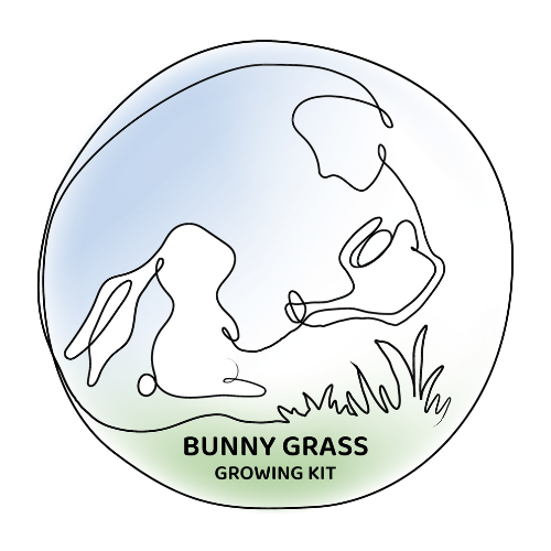 Rabbit Grass Growing Kit