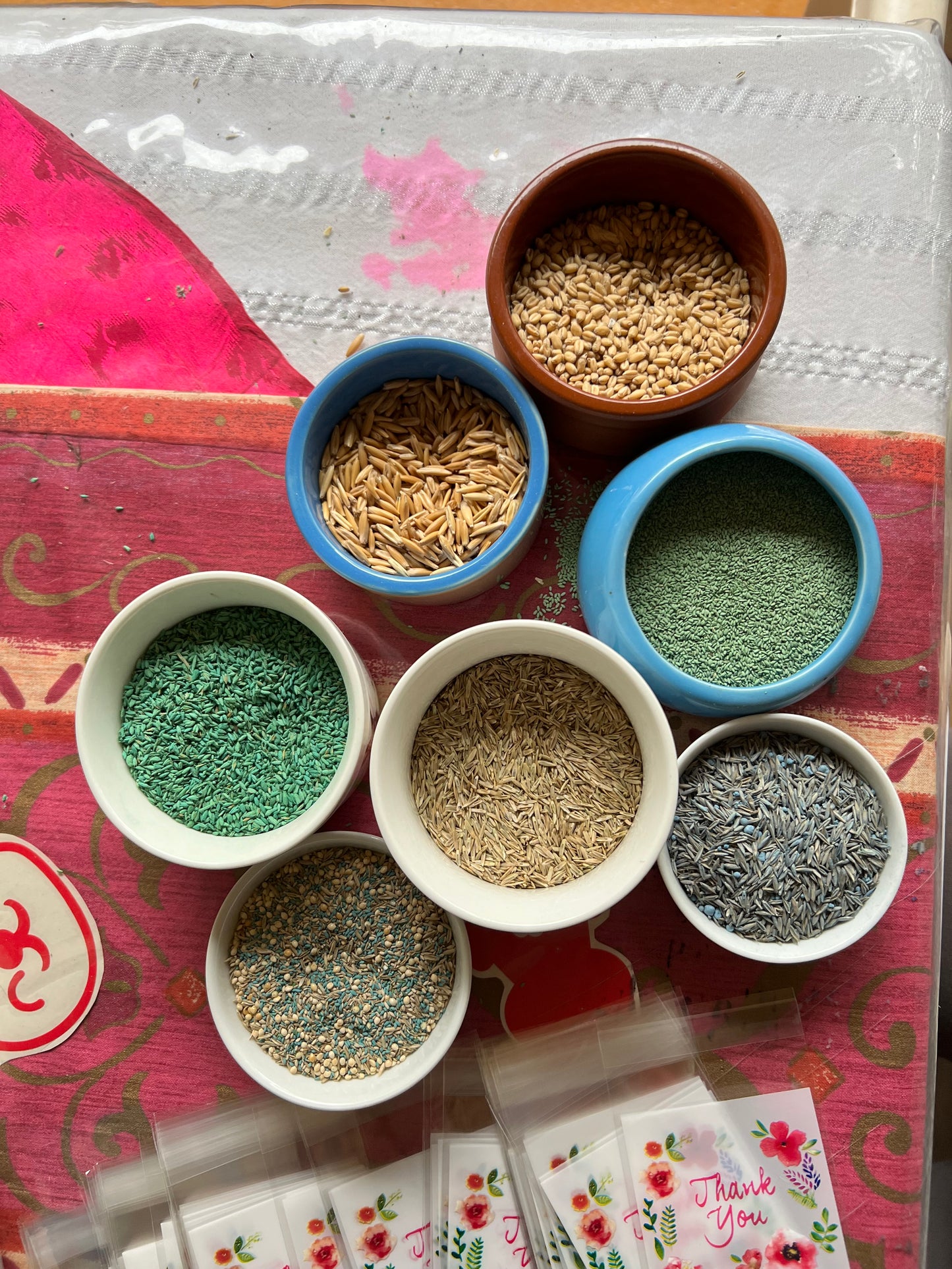 Rabbit Grass Growing Kit