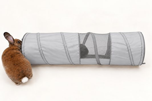 "CatchMe" Pet Rabbit Play Tunnel