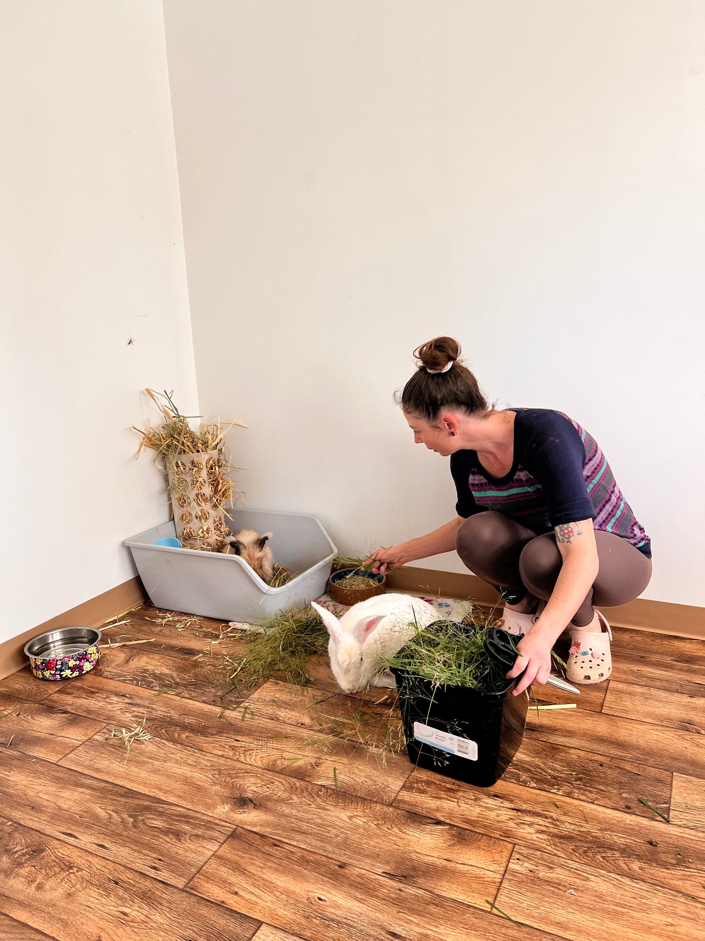Large rabbit litter tray with high sides plus hay rack which holds 1 kg of hay