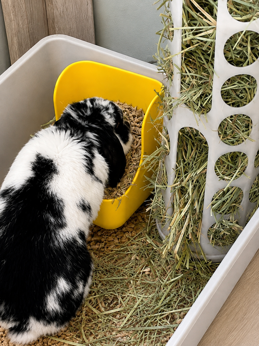 BUNNY CAFE Litter Tray + Feed Dish + Hay Rack