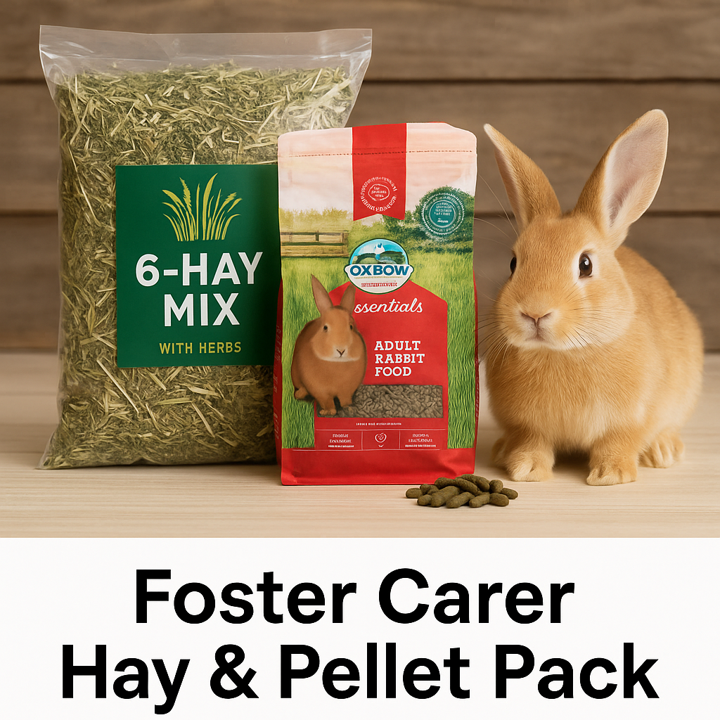 Foster Carer Pack