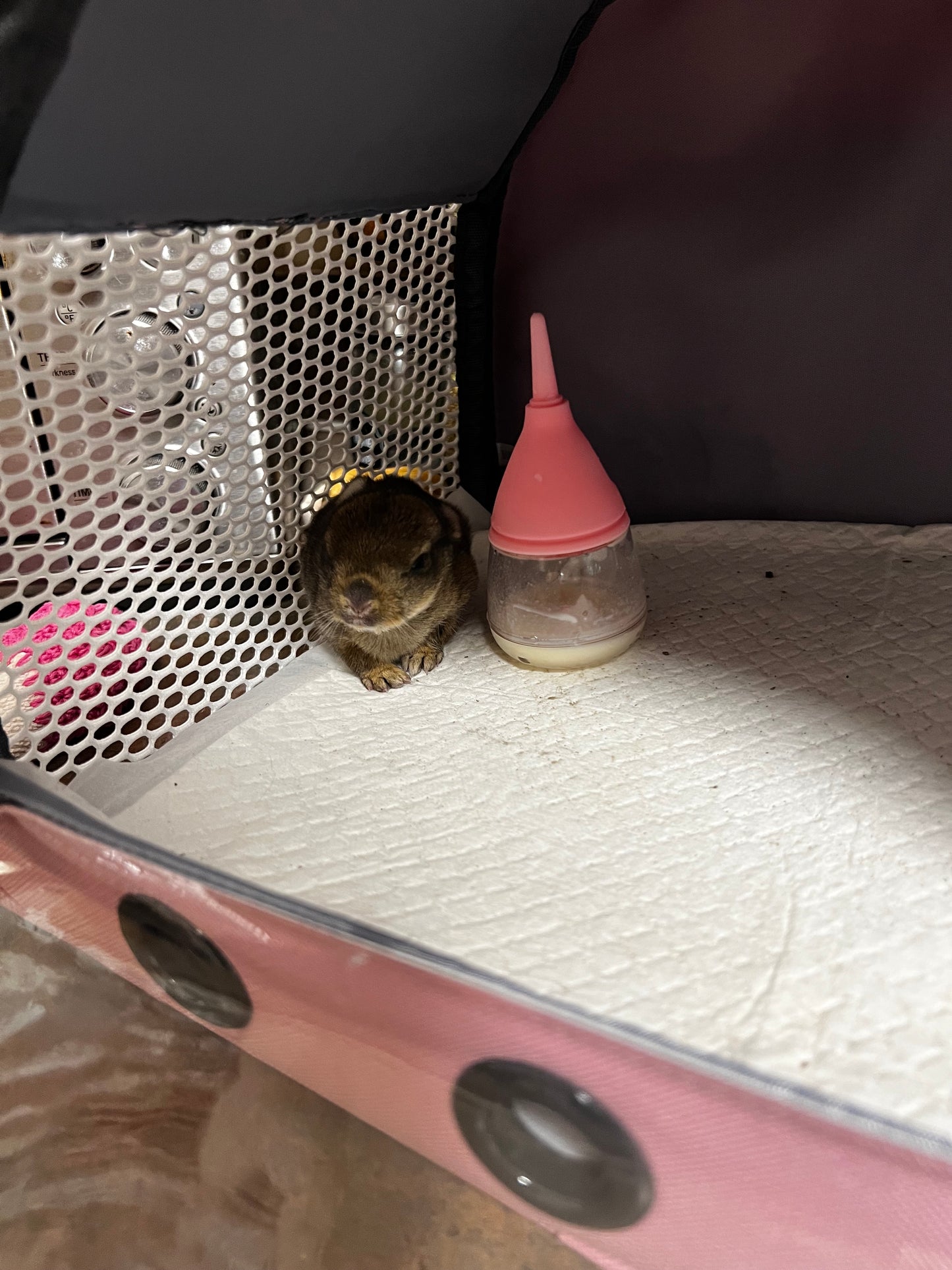 EmerAid Intensive Care