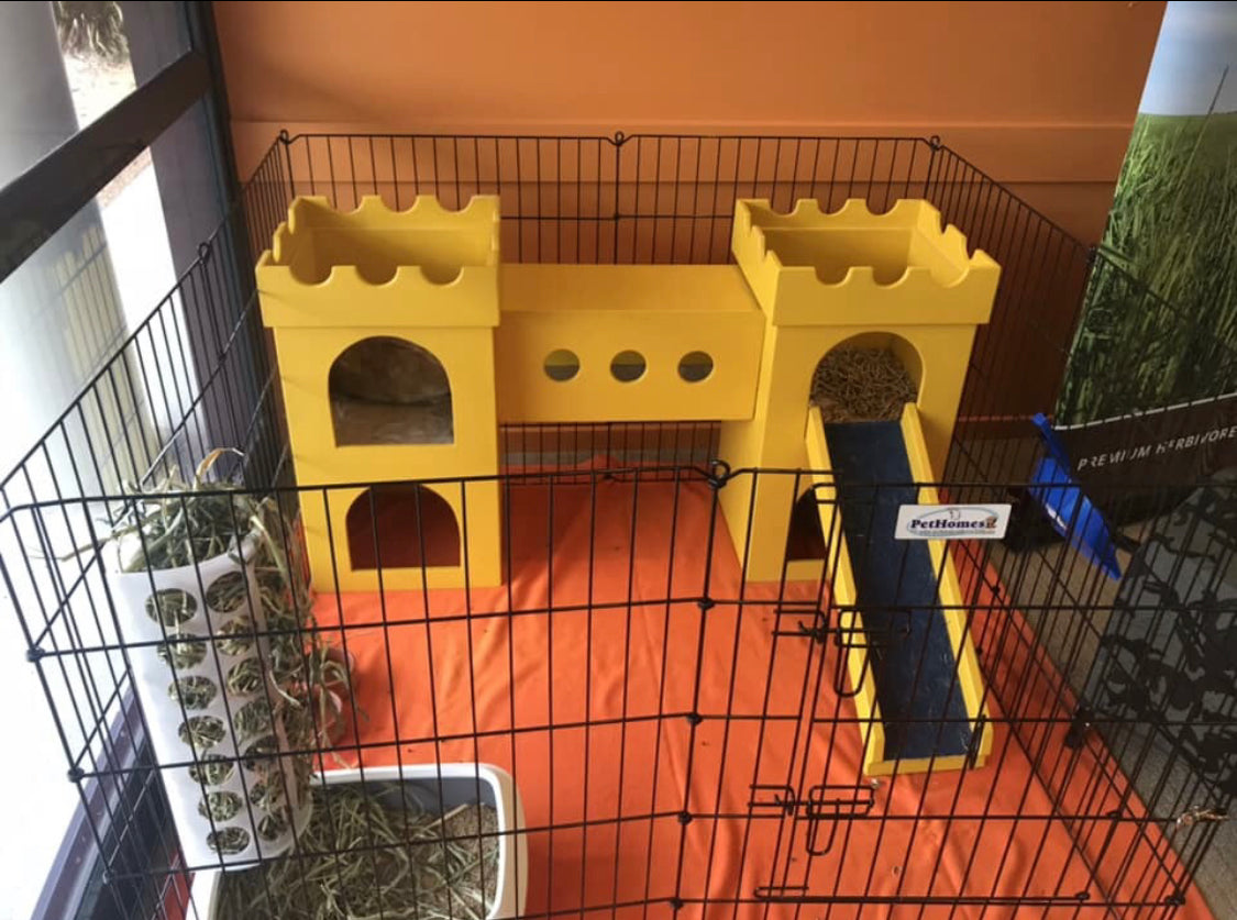 Bunny Castles