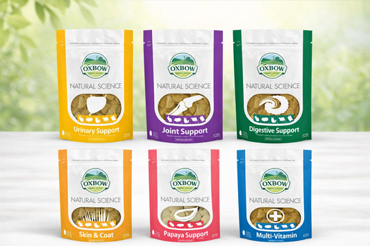 Oxbow Supplement Rabbit Treats