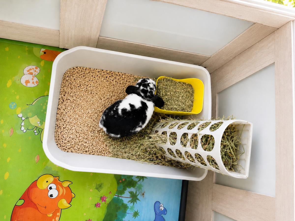 BUNNY CAFE Litter Tray + Feed Dish + Hay Rack