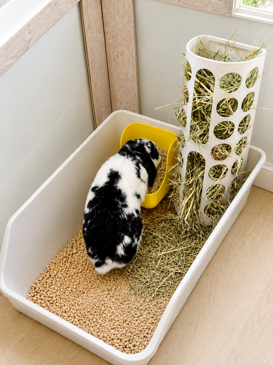 BUNNY CAFE Litter Tray + Feed Dish + Hay Rack