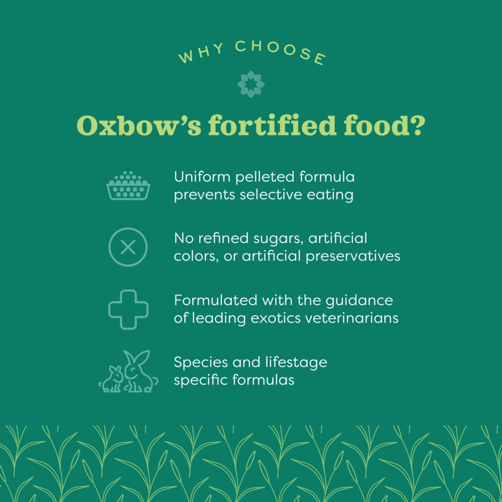 Why choose Oxbow's fortified rabbit food? Made with guidance of leading exotics veterinarians. No sugars or artificial preservatives. 