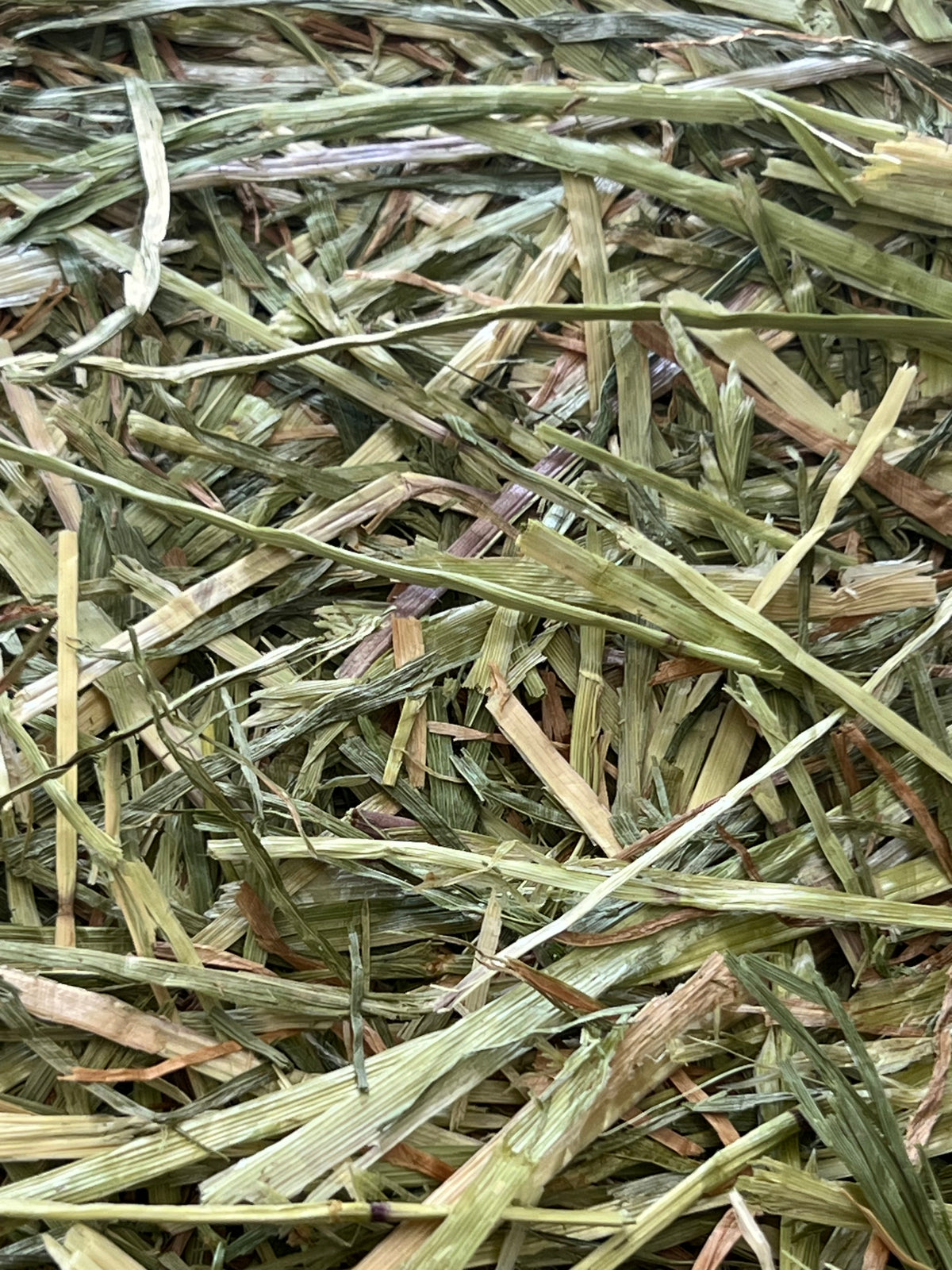 A close up of Rhodes Hay showing strands in light and dark green.