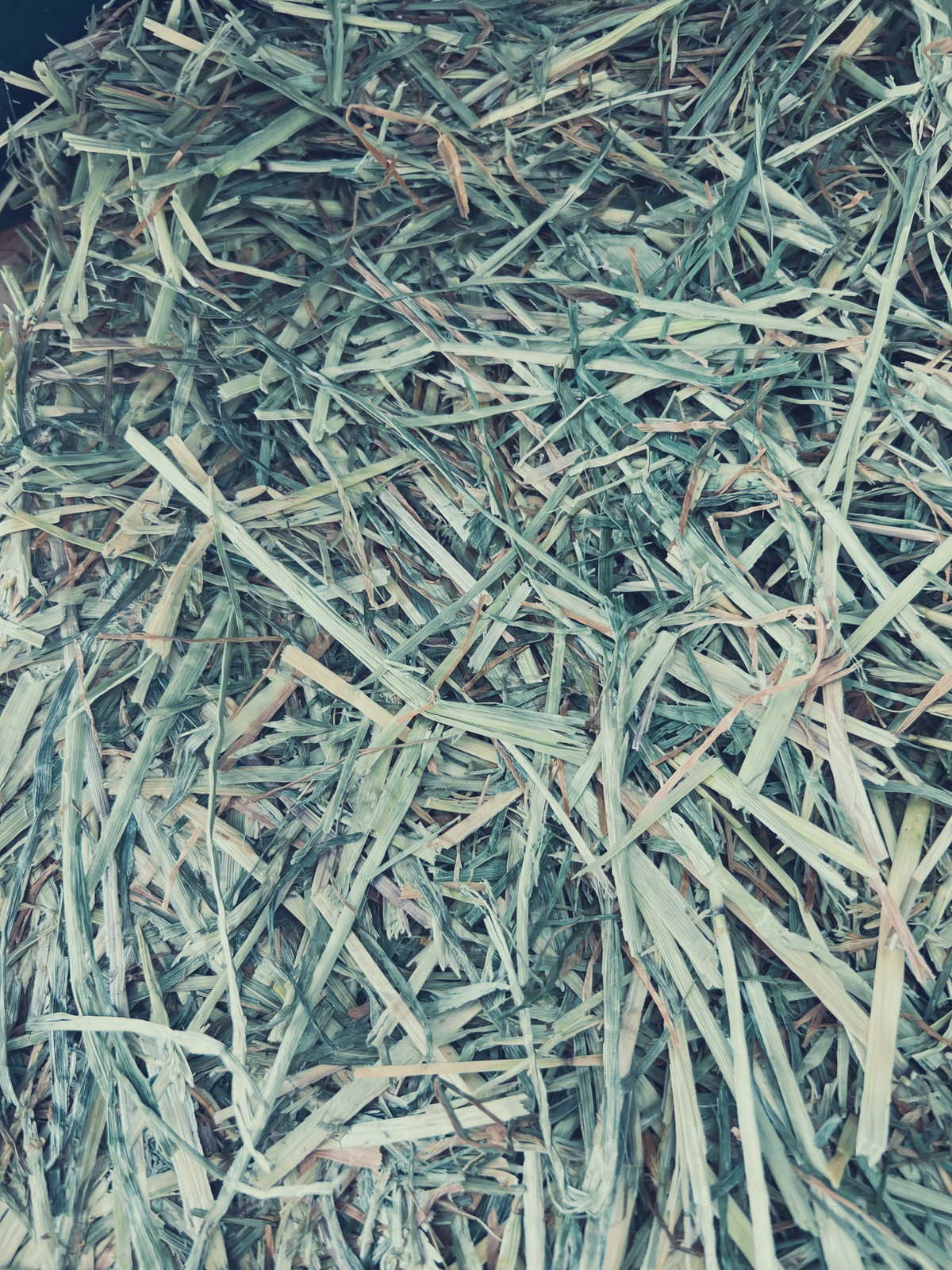 Ryegrass Hay 1.5kg